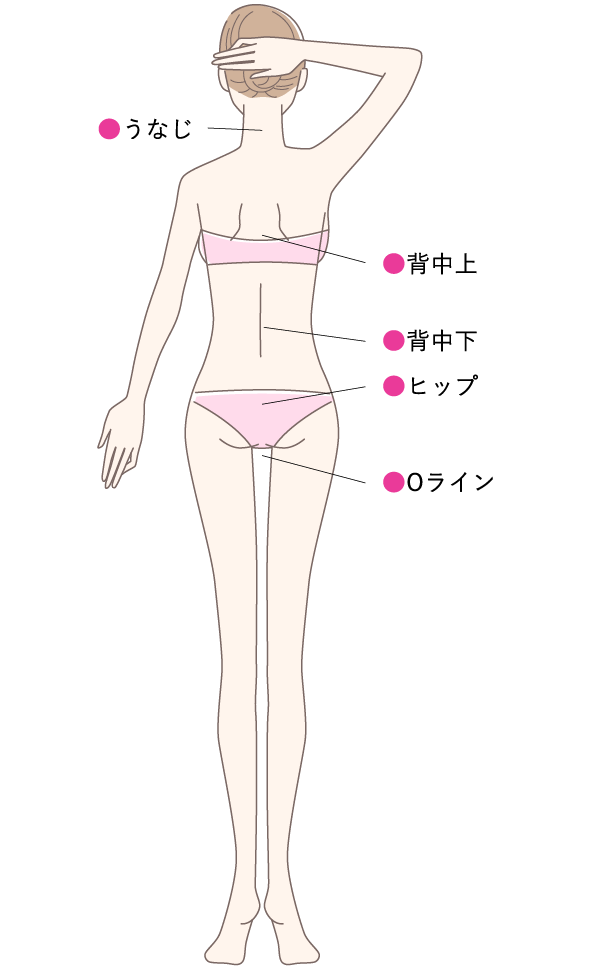 体の後側の各パーツを表した図